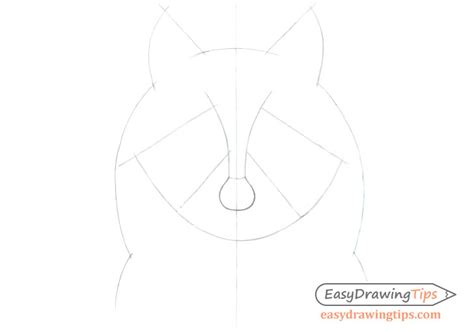 How To Draw A Raccoon Face Step By Step Easydrawingtips