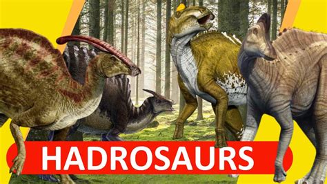 Hadrosaurs The Duck Billed Dinosaurs 2020 Youtube