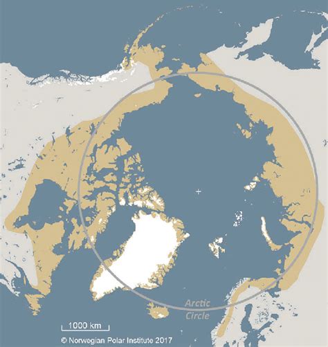 Circumpolar Distribution Of The Arctic Fox Modified From Angerbjörn