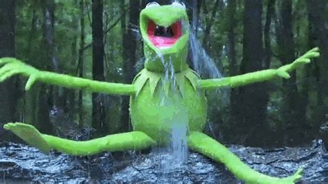 Kermit  Ice