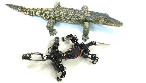 Biorobotics Creating Robots That Mimic The Movements Of Nature 3dnatives