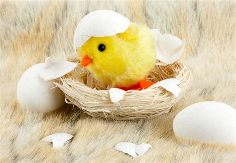 Toy Baby Chicken With Eggshell — Stock Photo © Nomadsoul1 5383258