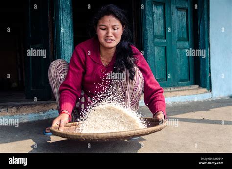 Women Sifting Rice Hi Res Stock Photography And Images Alamy