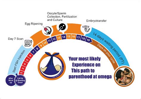 In Vitro Fertilization Omega Golden Fertility Clinic