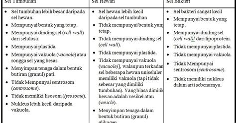 Maybe you would like to learn more about one of these? Ingin Tahu: Perbedaan Sel Tumbuhan Dan Sel Hewan - Biologi