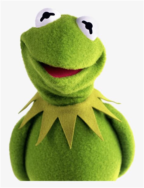 Download Kermit The Frog Meme Png Png And  Base