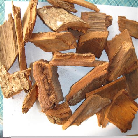 Yohimbine Bark Extract Corynante Yohimbepausinystalia Yohimbe