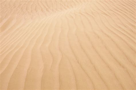 Free Images Landscape Sand Wing Wood Desert Dune Wind Material