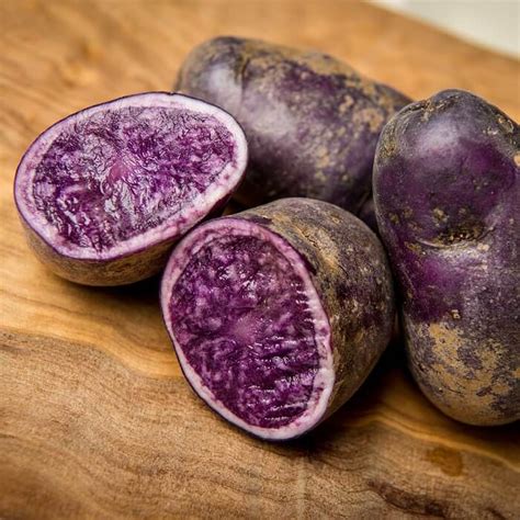 Purple Sweet Potato Seeds Pcs Pack UrbanGardenSeed