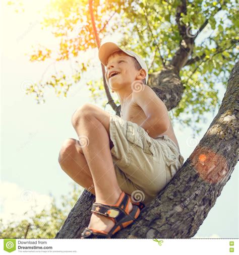 Small Boy Has Fun Climbing On The Tree Stock Photo Image Of Freedom
