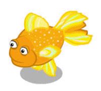 Goldfish GIFs Get The Best Gif On GIFER