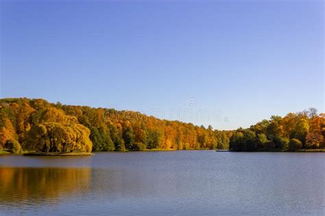 Landscape From The Autumn Forest And Pond Stock Photo Image Of Pond