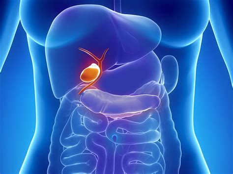 Gallbladder Cancer Homeopathy Treatment In Mumbai Delhi And Lucknow