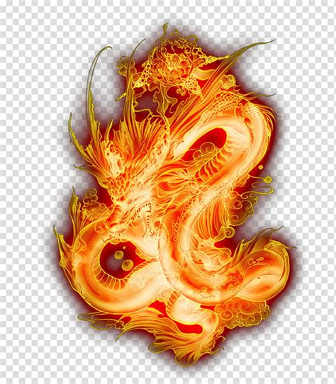 Chinese Dragon Flame Color China Japanese Dragon Fire Orange