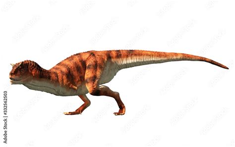 Carnotaurus Was A Carnivorous Theropod Dinosaur With Horns On Its Head
