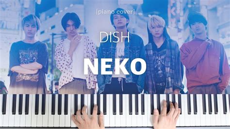 Dish Neko 猫고양이 Piano Cover 피아노 커버and악보 Youtube