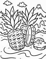 Coloring Tropical Island Pineapple Drawing Wild Printable Ellis Designlooter Drawings Getdrawings Getcolorings 777px 92kb Colornimbus sketch template