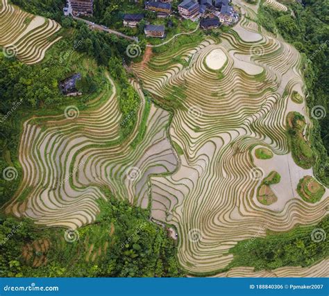 Longji Terrace Rice Fieldaerial Photography Stock Photo Image Of