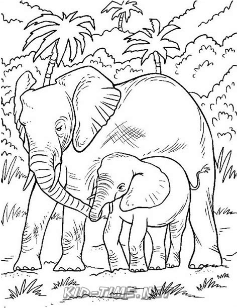 Realistic Elephant Coloring Pages 008 Kids Time Fun