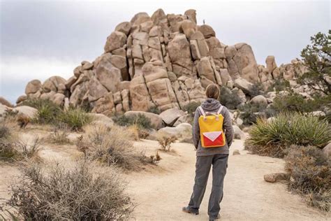 Best Hikes In Joshua Tree National Park The Crowded Planet