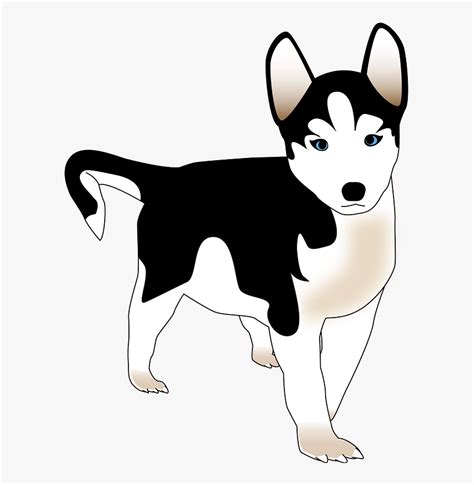 Anjing Husky Kartun Hitam Putih Hd Png Download Transparent Png
