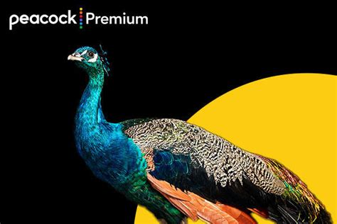 Universal Passholders Get Three Months Free Of Peacock Premium Streaming Service Wdw News Today