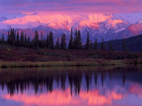 Free Download Lake And Alaska Range At Sunset Denali National Park