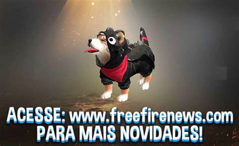 But there is a problem, it's very difficult to. NOVO PET SHIBA E SUA FUNÇÃO - Free Fire News