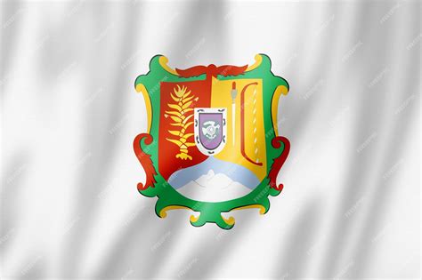 Bandeira Do Estado De Nayarit Coleção De Banner Acenando Do México