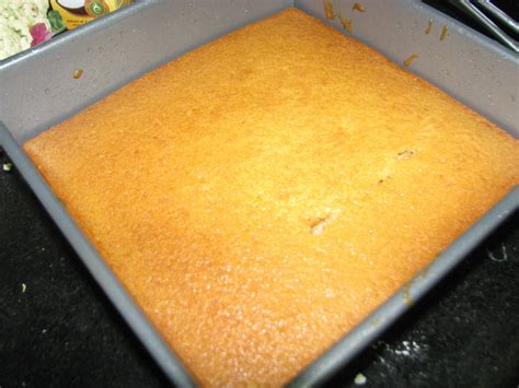 COLOURS OF NOMADIC LIFE: Eggless Sponge Cake