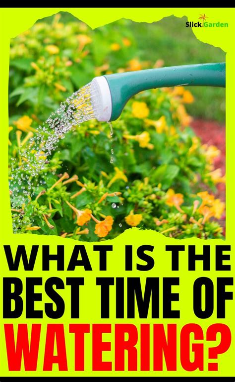 What Is The Best Time Of Watering How To Water Succulents Raised Vegetable Gardens Watering