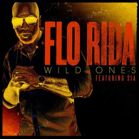 Flo Rida Featuring Sia Wild Ones 2011 256 Kbps File Discogs