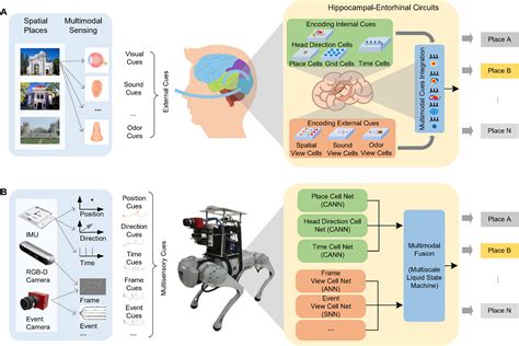 Brain Inspired Multimodal Hybrid Neural Network For Robot Place