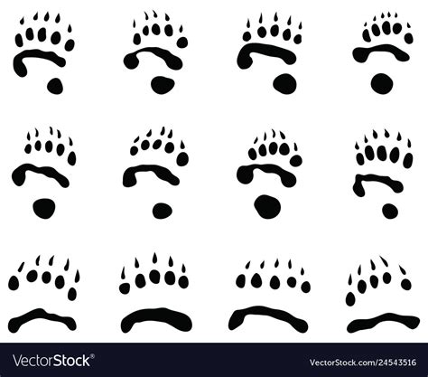 Black Footprints Of Panda Royalty Free Vector Image