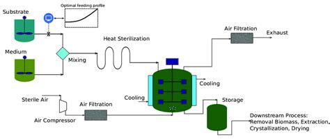 Scheme Of A Fermentation Process With A Fed Batch Bioreactor