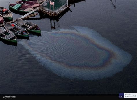 Загрязнение нефтепродуктами побережья и моря у Соловков