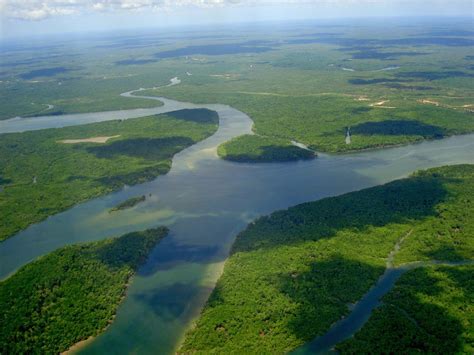 Amazon River Source Tributaries Basin Britannica