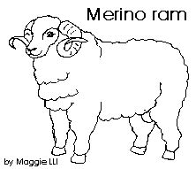 Check spelling or type a new query. All About Sheep For Kids And Teachers | kiddyhouse.com ...