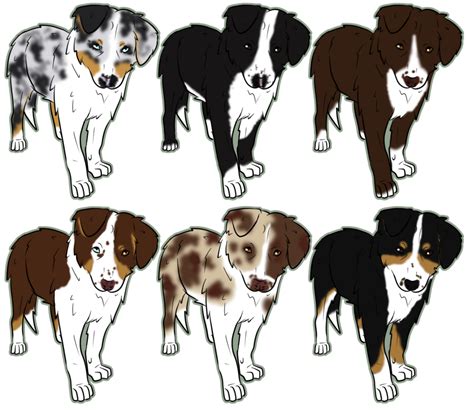 Australian Shepherds Australian Shepherd Puppy Cartoon Aussie Puppies