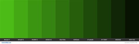 Shades Of Kelly Green Color 4cbb17 Hex Colorswall