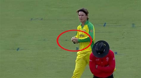Did Adam Zampa tamper ball during India match, ask Netizens after ...