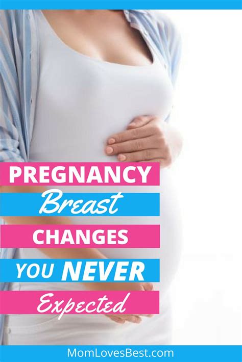 Breast Changes During Pregnancy Zonedop