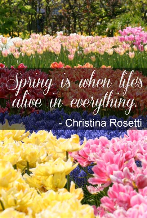 Inspirational Spring Quotes Fun Quotes For Spring