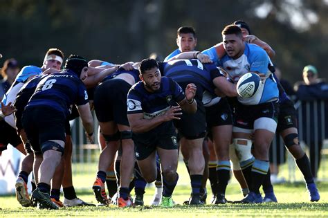 Club Rugby In New Zealand To Be Postponed Free Nude Porn Photos