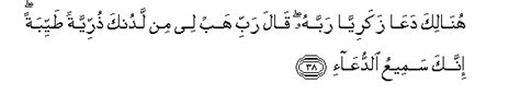 Allah mahaperkasa lagi mempunyai hukuman. Mulanya Di Sini - Akhirnya Di Sana: SURAH AL-IMRAN AYAT 38