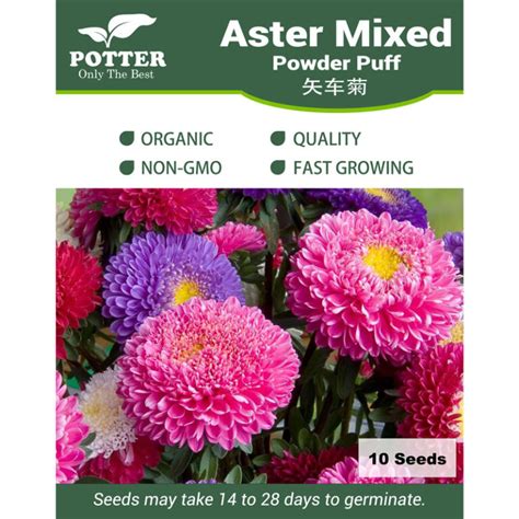 Aster Powder Puff Mixed Flower Seeds Sierra Flora