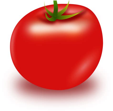 Tomato Clipart 20 Free Cliparts Download Images On Clipground 2024