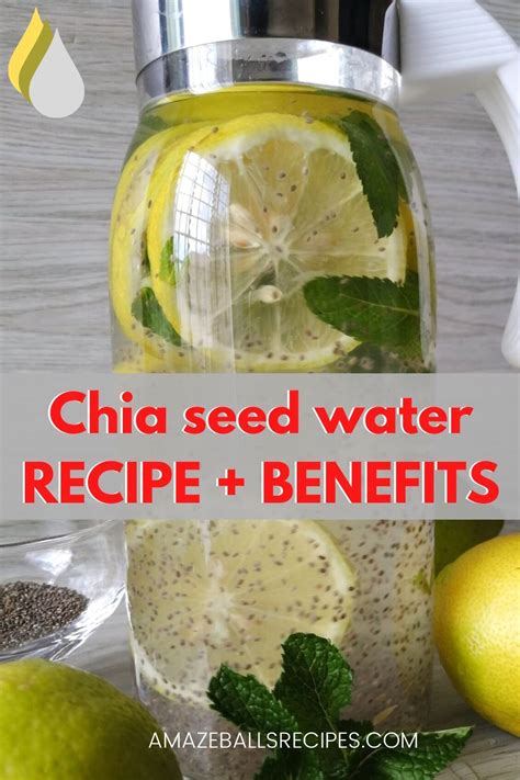 Shop for the best brands in malaysia that can be used in water, smoothies, overnight oatmeals and more. Chia seed water recipe and benefits - Amazeballs Recipes ...