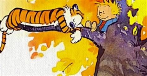 Why You Still Love Calvin And Hobbes All These Years Later Huffpost