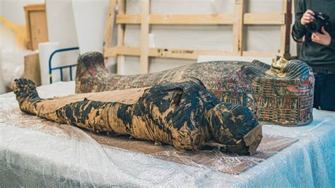 Cancer Probably Killed Worlds First Known Pregnant Egyptian Mummy Iflscience